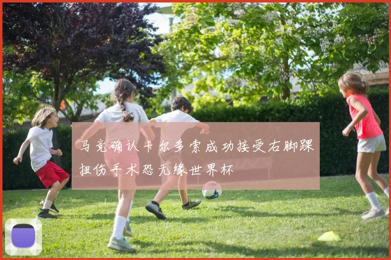 马竞确认卡尔多索成功接受右脚踝扭伤手术恐无缘世界杯